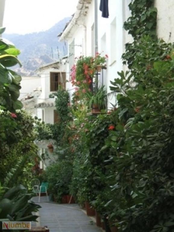 דירות גואחר-סיירה Vivienda Turistica Arabeluj מראה חיצוני תמונה